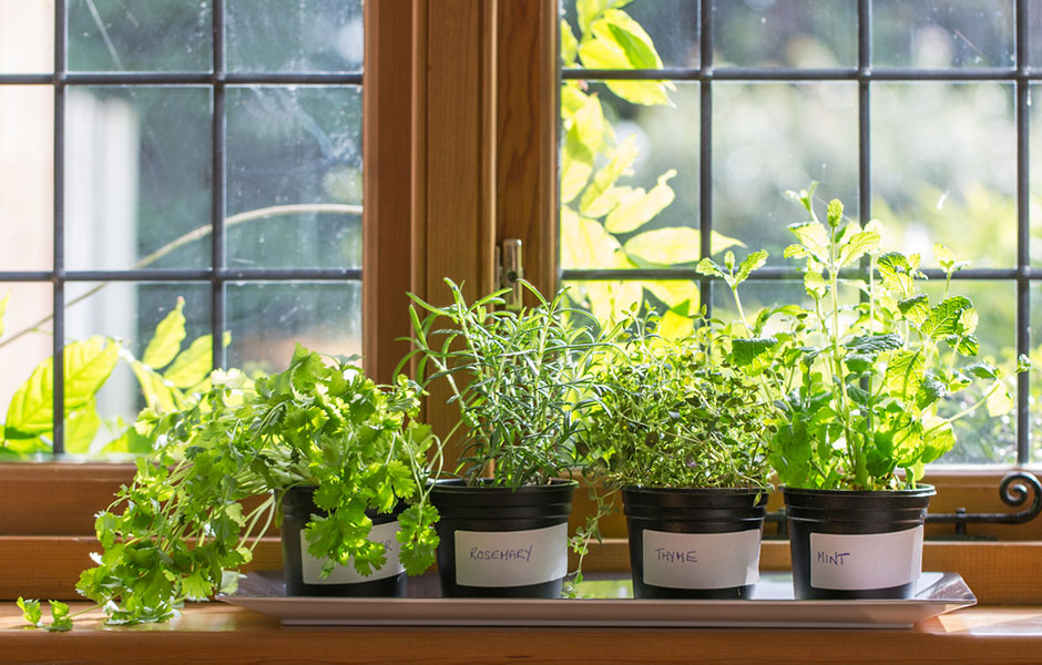 Herb garden for Mother’s Day 2021