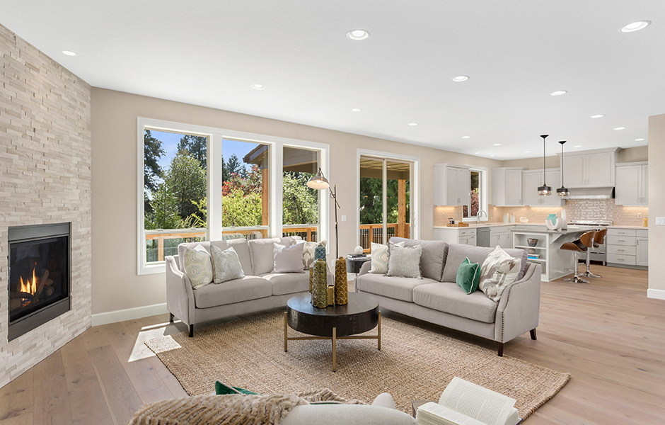 Two sofas in living room