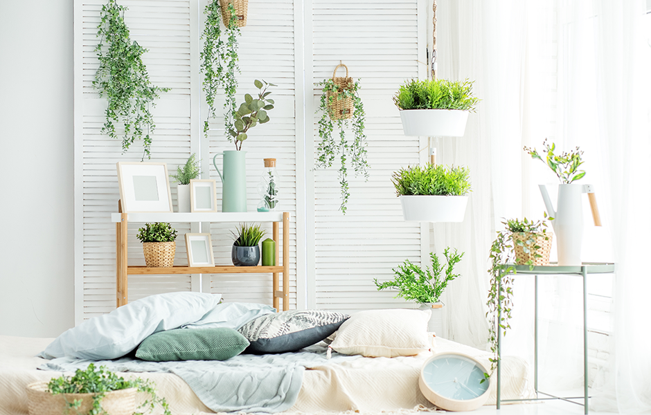 Green interior design concept with plants