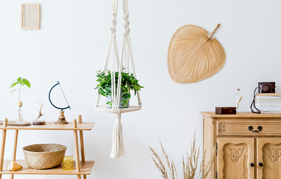 Macrame Plant Hanger With Small Plant